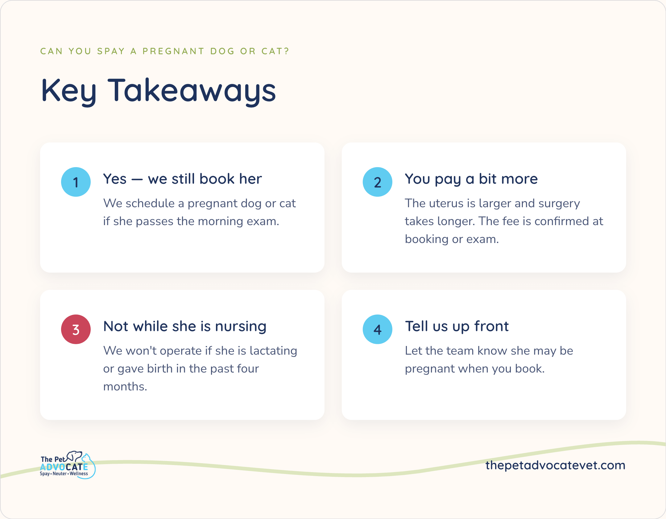 Key Takeaways: we still book her if she passes the morning exam; you pay more because the uterus is larger and surgery takes longer; no surgery while nursing or within four months of birth; tell the team she may be pregnant when you book.