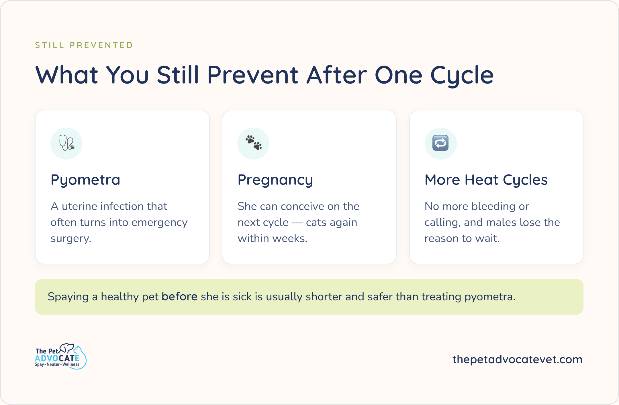 Infographic titled What You Still Prevent After One Cycle with three cards—pyometra (uterine infection that often needs emergency surgery), pregnancy (can conceive on the next cycle; cats again within weeks), and more heat cycles (no more bleeding or calling)—plus a green banner that spaying a healthy pet before she is sick is usually shorter and safer than treating pyometra.