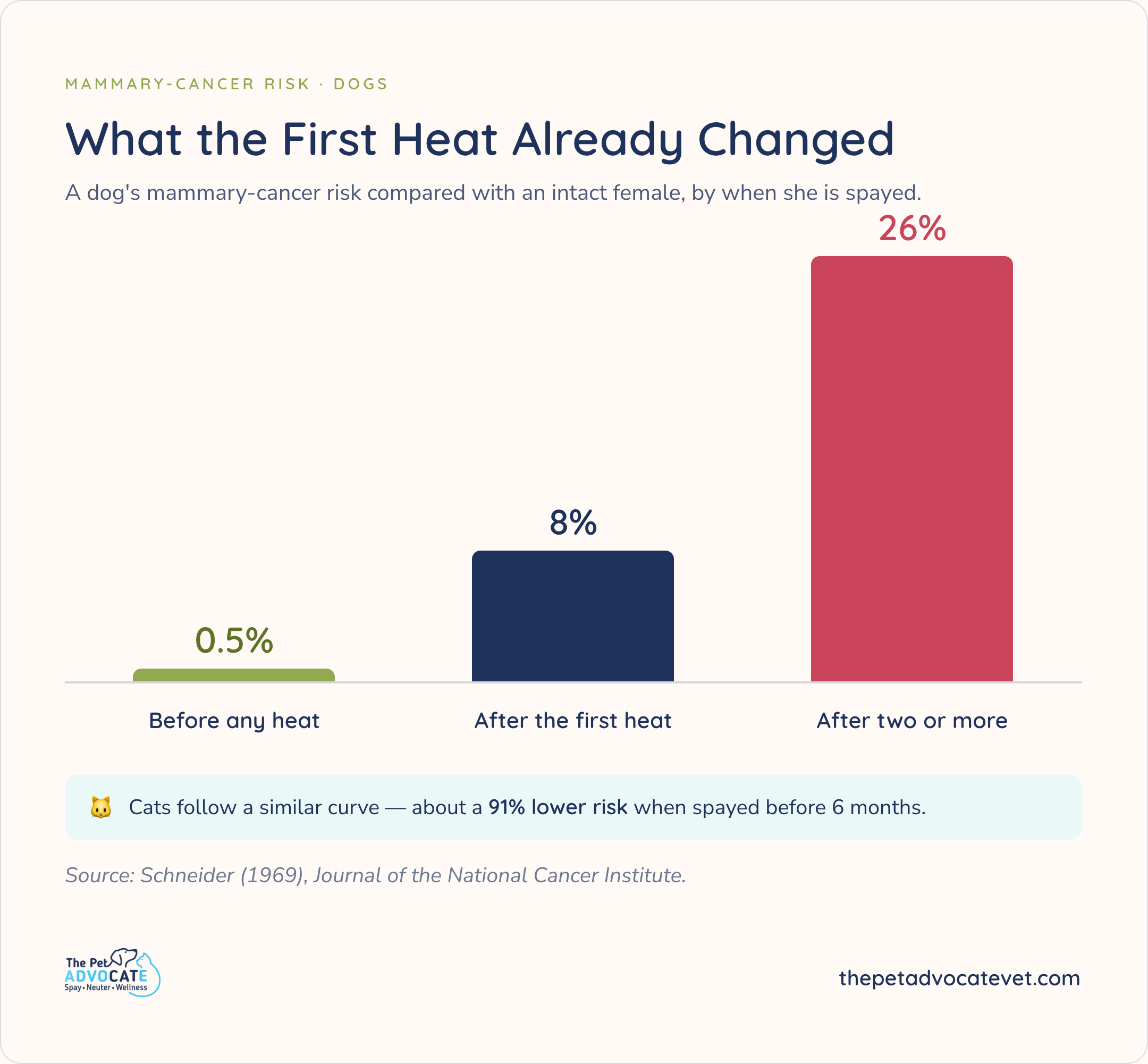 Bar chart titled What the First Heat Already Changed showing dog mammary-cancer risk vs intact females: green 0.5% before any heat, blue 8% after the first heat, red 26% after two or more (Schneider 1969). Blue callout notes cats have about a 91% lower risk when spayed before 6 months. The Pet Advocate branding and website in the footer.
