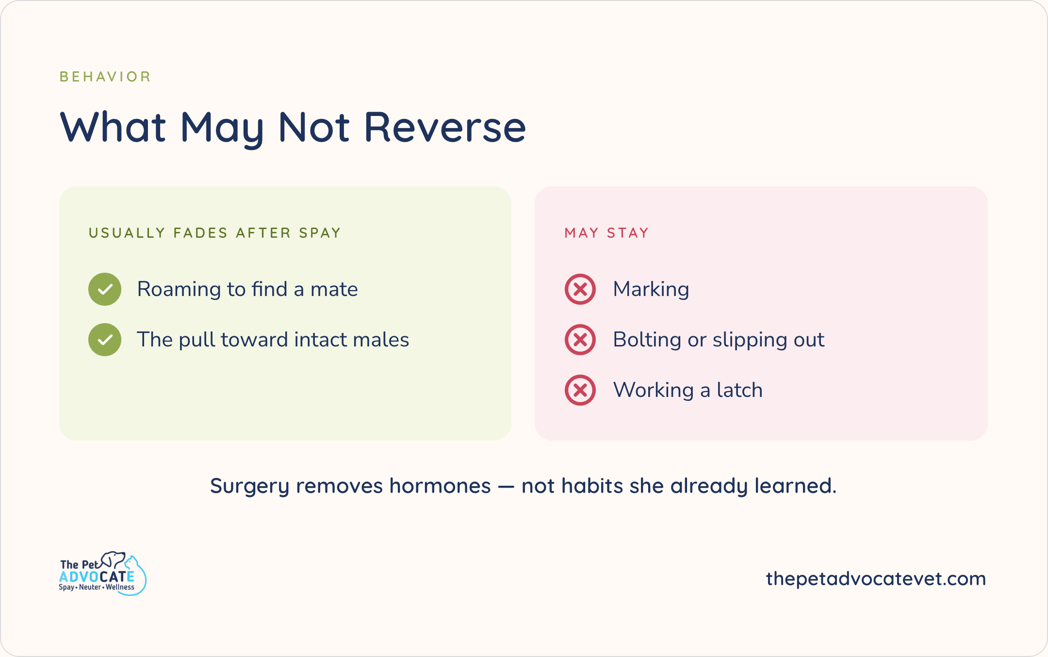 Behavior comparison graphic titled What May Not Reverse: green “Usually fades after spay” lists roaming to find a mate and the pull toward intact males; pink “May stay” lists marking, bolting or slipping out, and working a latch. Summary line: surgery removes hormones—not habits she already learned. The Pet Advocate logo and website in the footer.