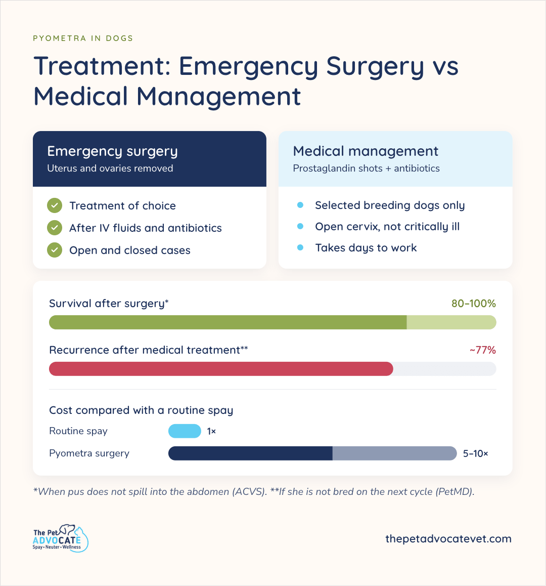 Treatment comparison of emergency surgery (uterus and ovaries removed after IV fluids and antibiotics; choice for open and closed) versus medical management (prostaglandin shots plus antibiotics for selected open, non-critical breeding dogs), with bars for 80–100% surgical survival, about 77% medical recurrence, and pyometra surgery costing 5–10 times a routine spay.