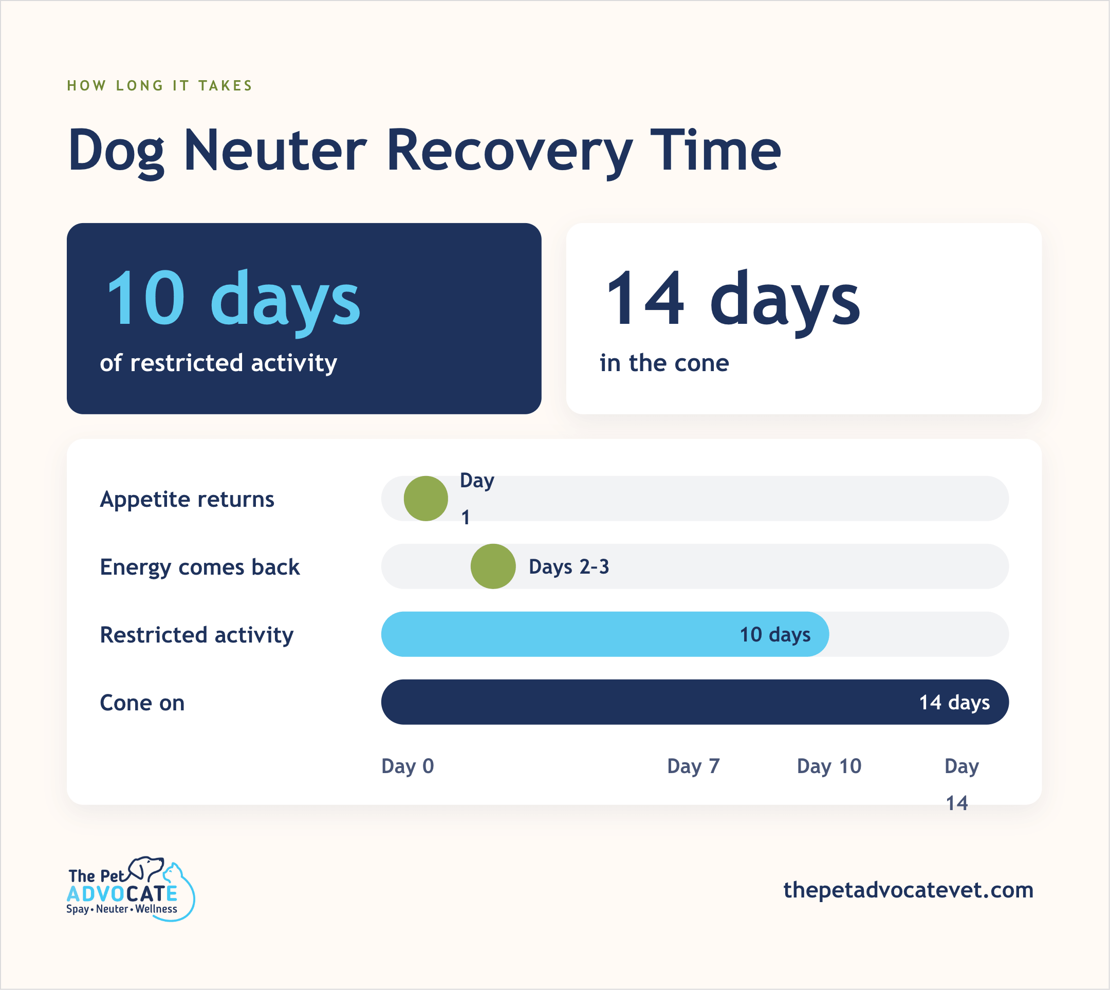 Infographic showing 10 days of restricted activity and 14 days in the cone, with a bar chart of appetite return, energy return, restricted activity, and cone-on milestones.