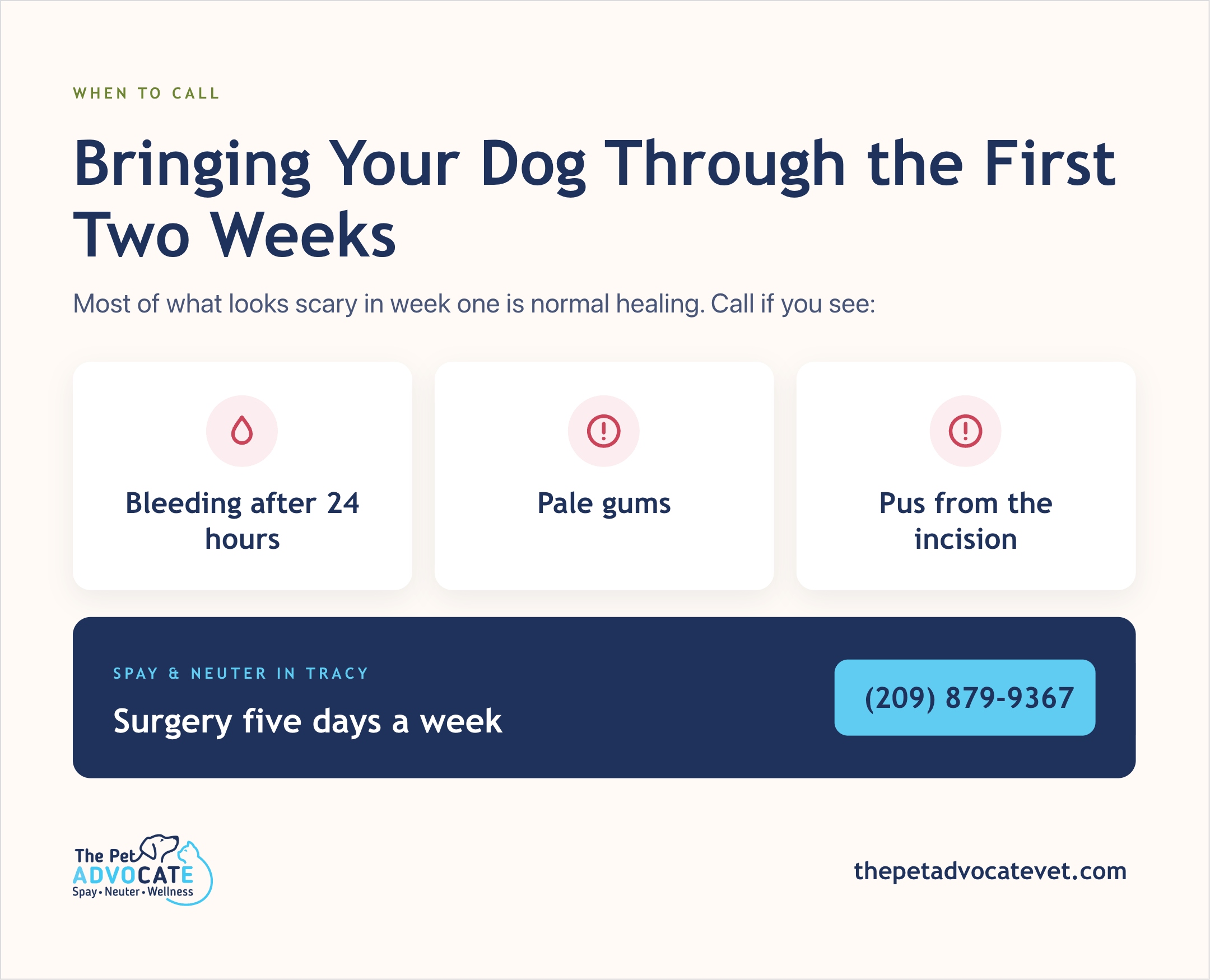 When-to-call cards for bleeding after 24 hours, pale gums, and pus from the incision, with a Tracy spay-and-neuter banner and phone number (209) 879-9367.