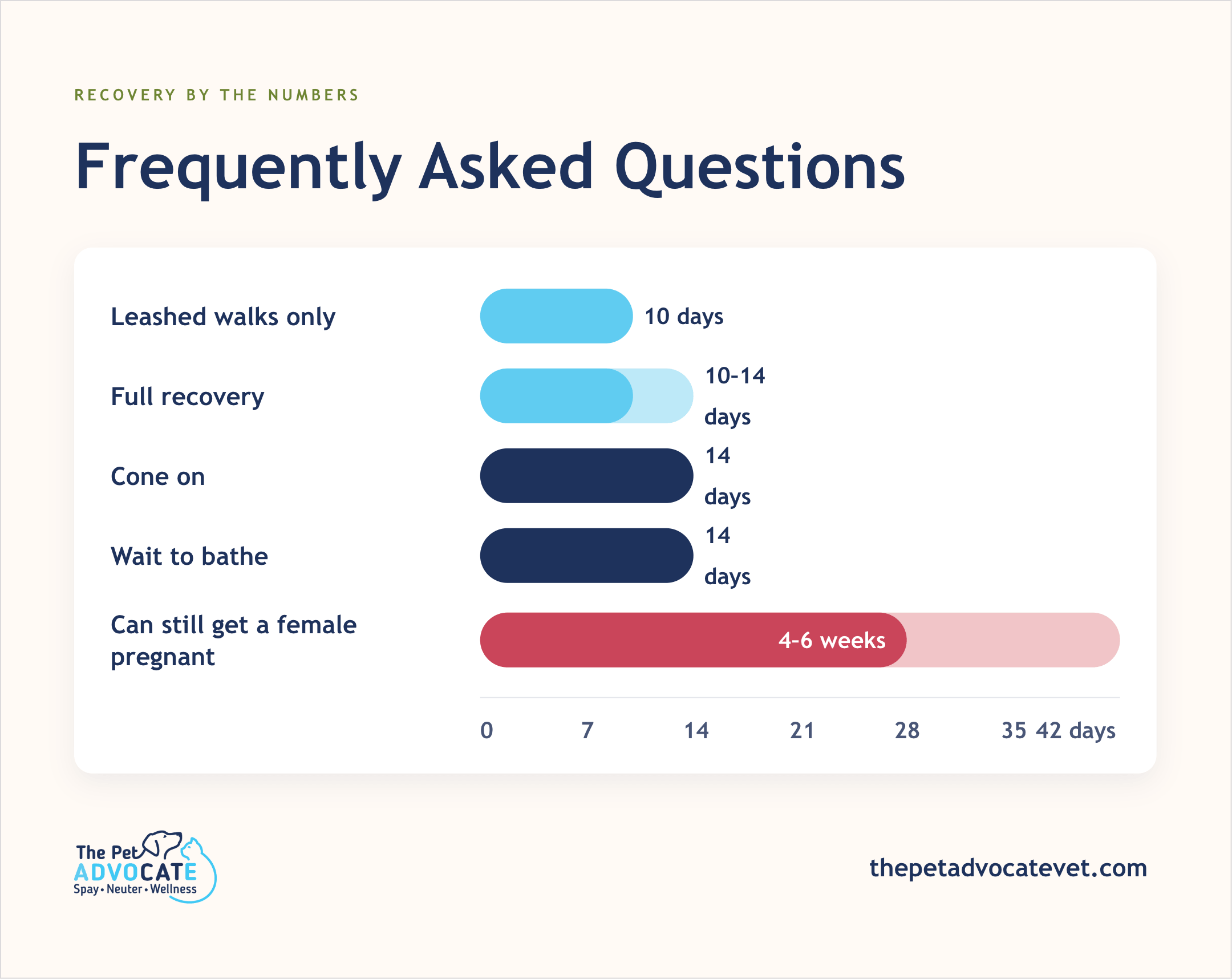 Recovery-by-the-numbers bar chart for leashed walks (10 days), full recovery (10–14 days), cone and bathing (14 days), and fertility risk (4–6 weeks).