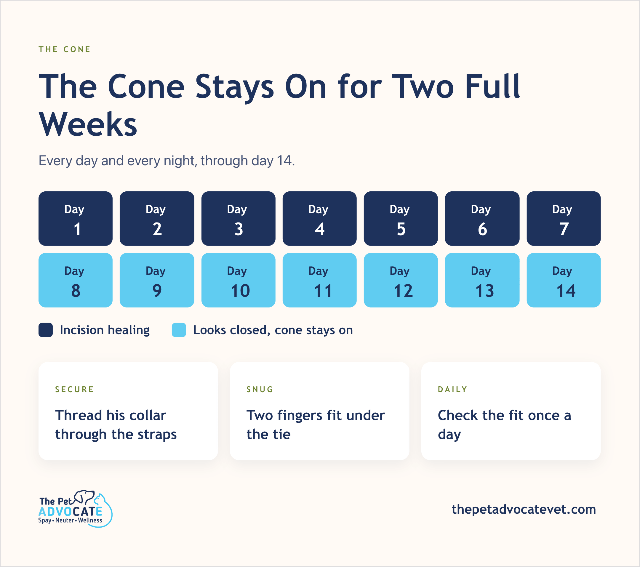 Fourteen-day cone timeline grid (days 1–7 incision healing, days 8–14 looks closed) with Secure, Snug, and Daily fit tips.