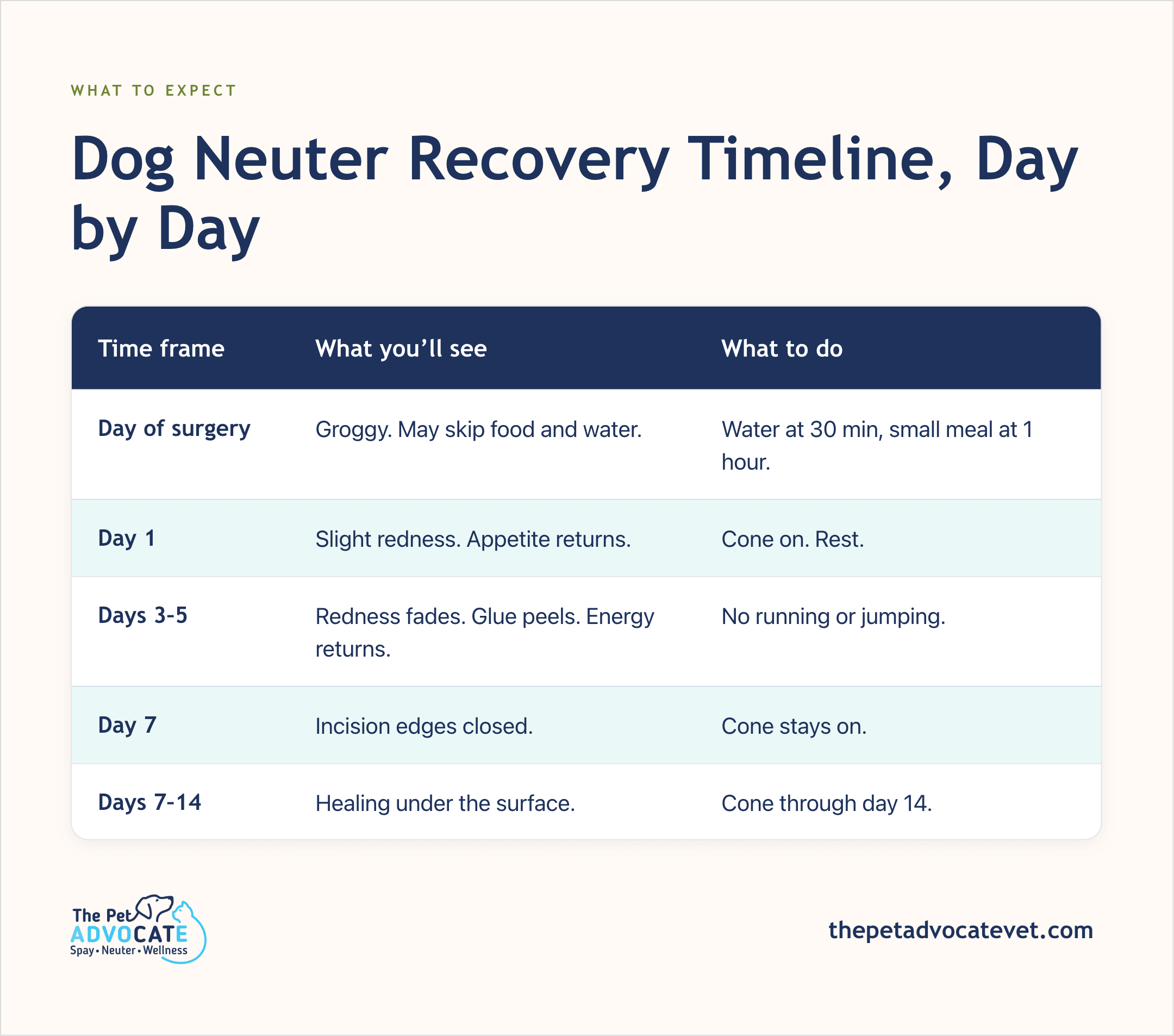 Day-by-day recovery table with columns for time frame, what you’ll see, and what to do from surgery day through days 7–14.