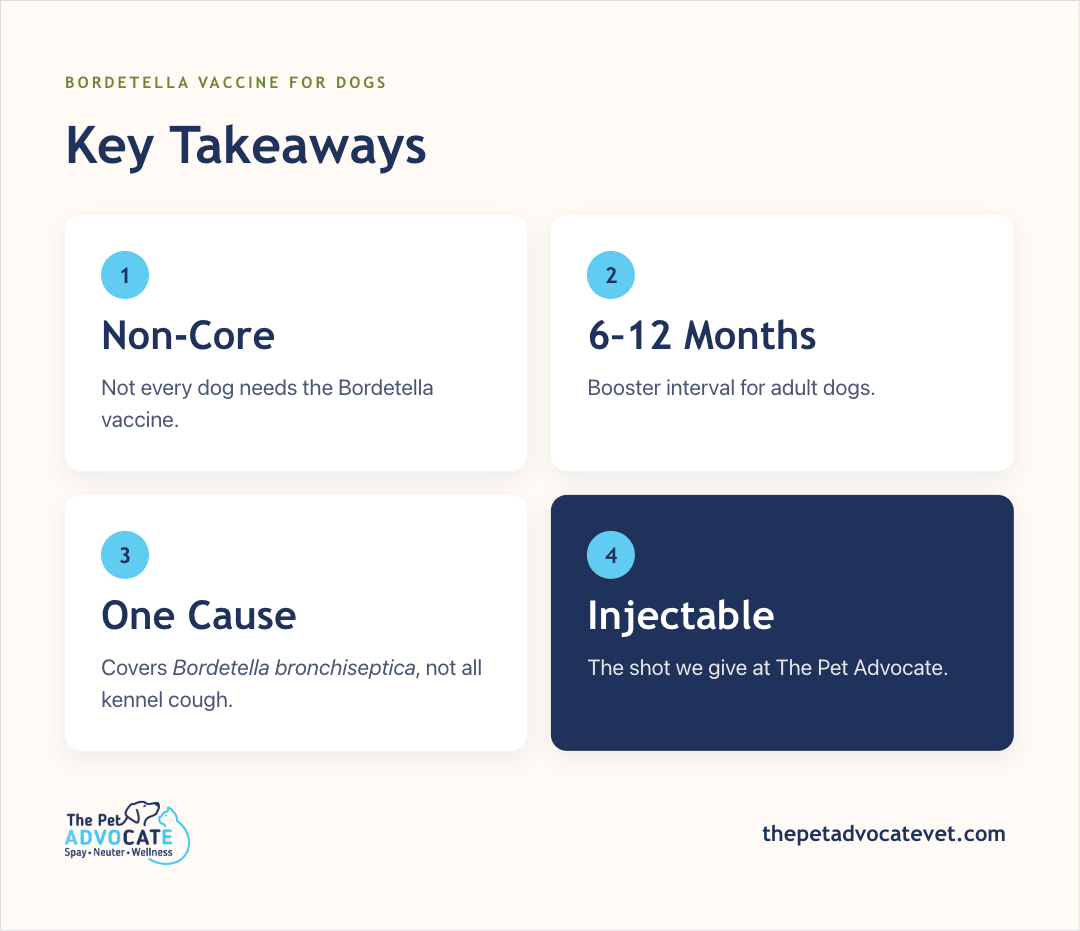 Key takeaways infographic: (1) Non-core—not every dog needs the Bordetella vaccine; (2) 6–12 months booster interval for adult dogs; (3) One cause—covers Bordetella bronchiseptica, not all kennel cough; (4) Injectable—the shot we give at The Pet Advocate.