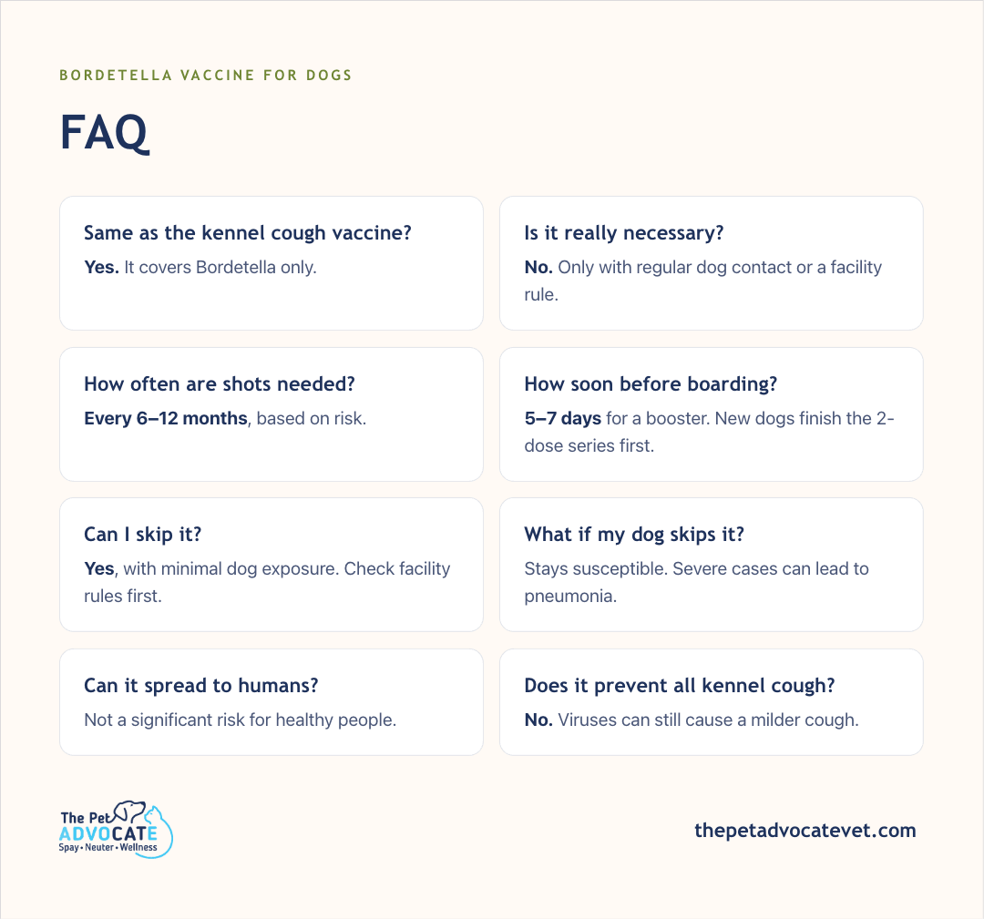 FAQ grid: same as kennel cough vaccine (covers Bordetella only); not always necessary—only with regular dog contact or a facility rule; shots every 6–12 months; boost 5–7 days before boarding (new dogs finish 2-dose series first); can skip with minimal exposure; skipping leaves dog susceptible (severe cases can lead to pneumonia); not a significant risk for healthy people; does not prevent all kennel cough.