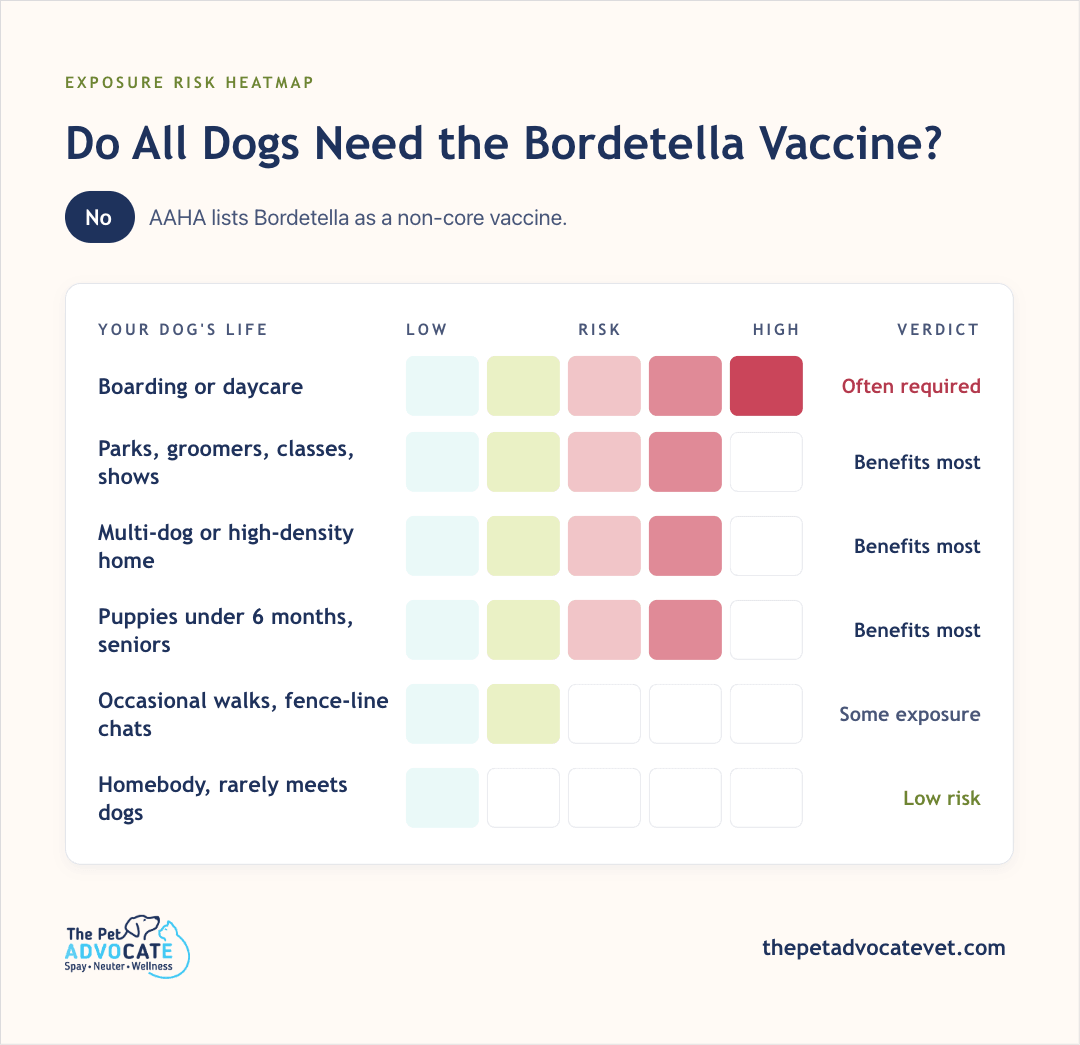 Exposure risk heatmap answering “No”—AAHA lists Bordetella as non-core; boarding or daycare often required (high); parks/groomers/classes, multi-dog homes, and puppies under 6 months or seniors benefit most; occasional walks some exposure; homebody dogs low risk.