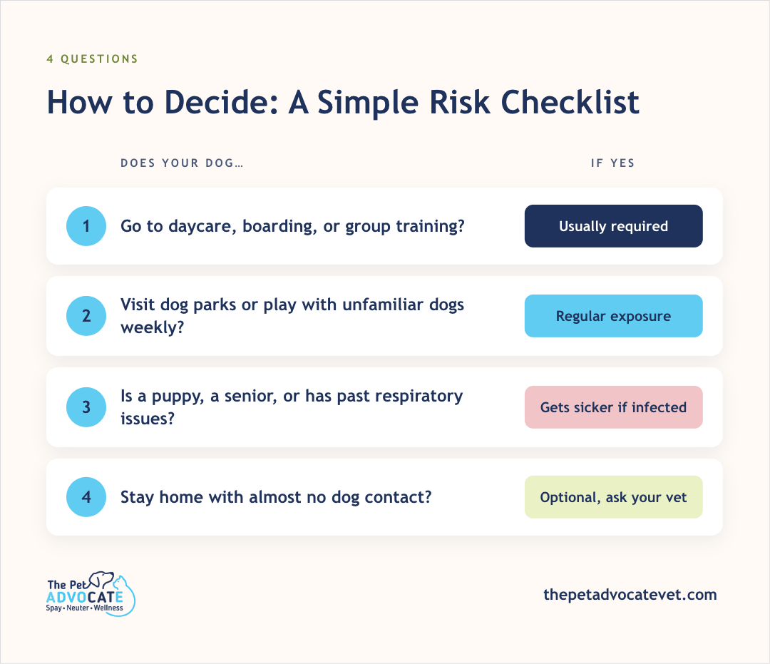 Four-question risk checklist: daycare, boarding, or group training—usually required; weekly dog parks or unfamiliar playmates—regular exposure; puppy, senior, or past respiratory issues—gets sicker if infected; homebody with almost no dog contact—optional, ask your vet.