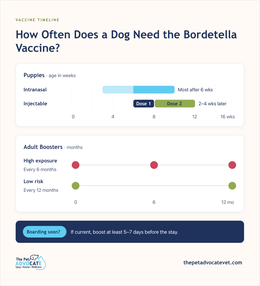 Vaccine timeline: puppies—intranasal most after 6 weeks; injectable dose 1 around week 8, dose 2 at 2–4 weeks later; adults—high exposure every 6 months, low risk every 12 months; if current, boost at least 5–7 days before boarding.