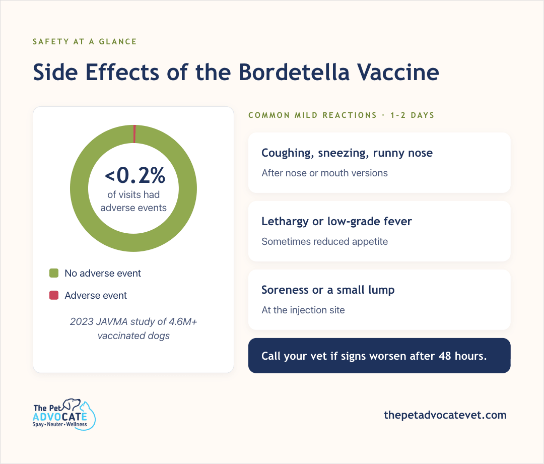 Safety at a glance: donut chart shows under 0.2% of visits had adverse events (2023 JAVMA study of 4.6M+ vaccinated dogs); common mild reactions lasting 1–2 days—coughing/sneezing/runny nose after nose or mouth versions, lethargy or low-grade fever, soreness or small lump at injection site; call your vet if signs worsen after 48 hours.