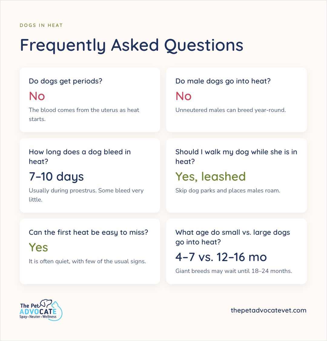 Six-card FAQ grid for Dogs in Heat: Do dogs get periods? No; Do male dogs go into heat? No; How long does a dog bleed in heat? 7–10 days; Should I walk my dog while she is in heat? Yes, leashed; Can the first heat be easy to miss? Yes; What age do small vs. large dogs go into heat? 4–7 vs. 12–16 mo (giants 18–24).