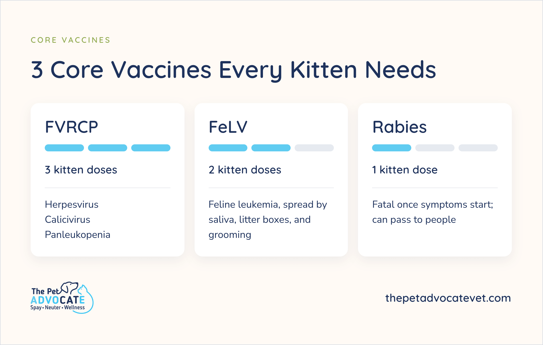 Three cards titled 3 Core Vaccines Every Kitten Needs: FVRCP 3 kitten doses (herpesvirus, calicivirus, panleukopenia); FeLV 2 kitten doses (feline leukemia, spread by saliva, litter boxes, and grooming); rabies 1 kitten dose (fatal once symptoms start; can pass to people).