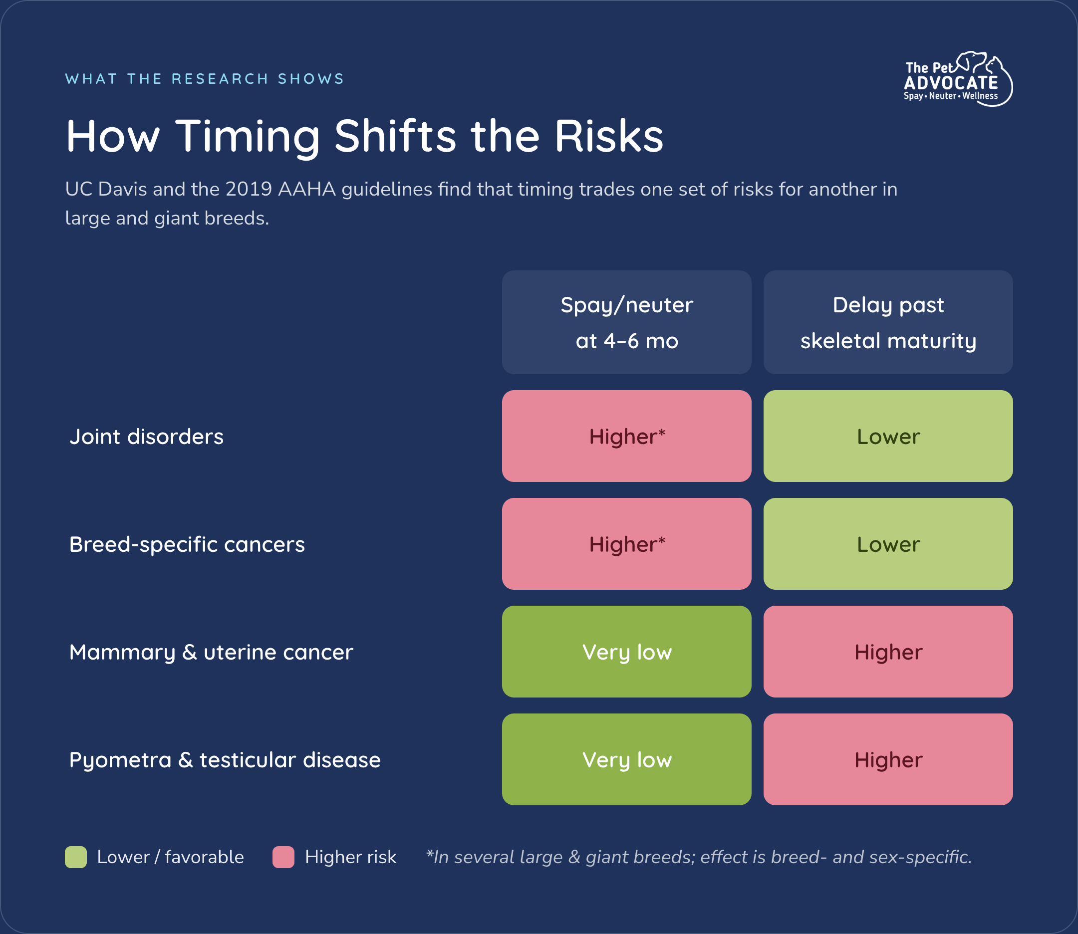 Risk table from UC Davis and 2019 AAHA guidelines: early 4–6 month timing raises joint and some cancer risks in large breeds but keeps mammary, uterine, pyometra, and testicular disease risk low; delay past maturity reverses those trade-offs.
