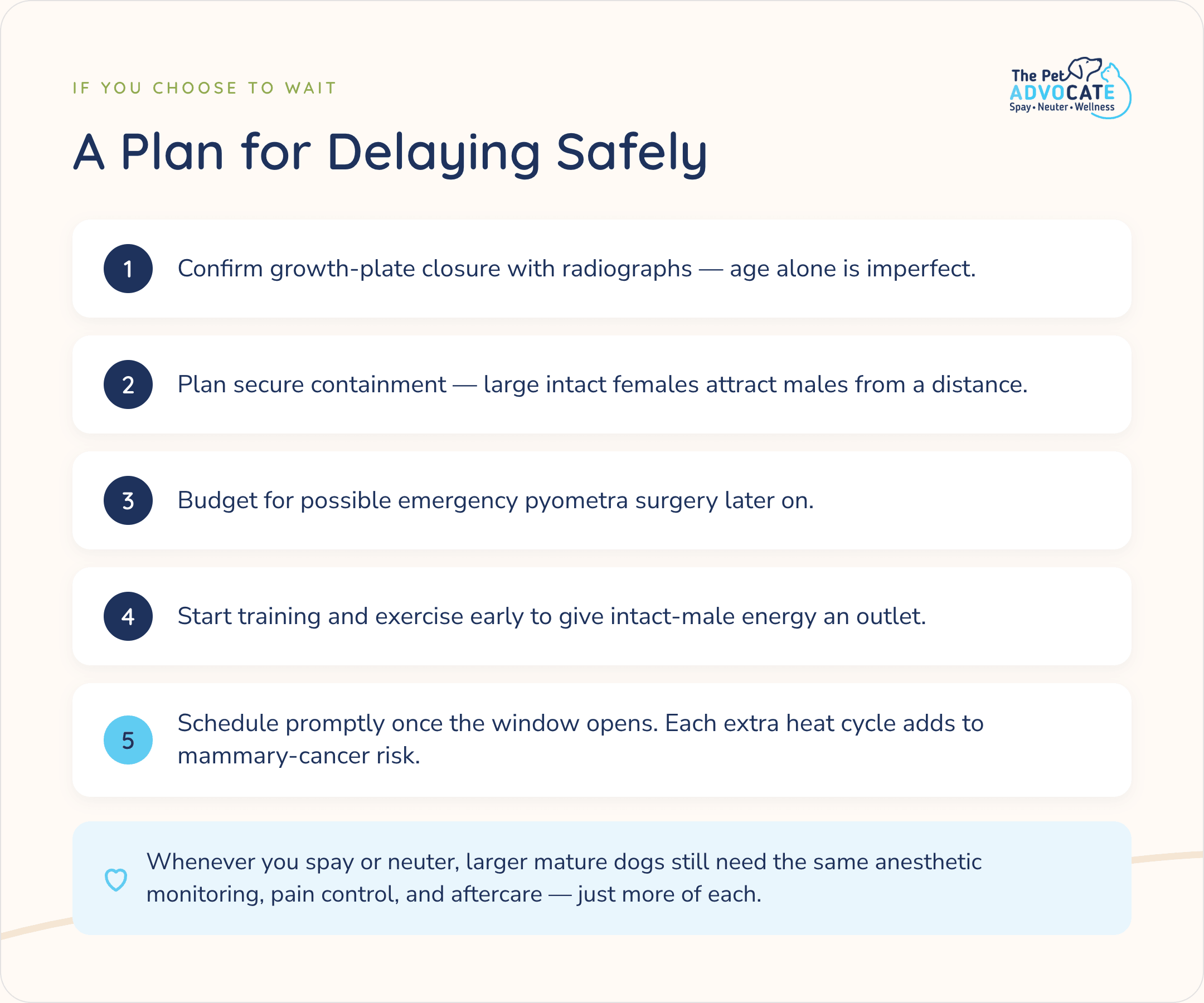 Five steps for delaying spay or neuter safely: confirm growth-plate closure with radiographs, plan secure containment, budget for possible pyometra surgery, start training early, and schedule promptly once the window opens.