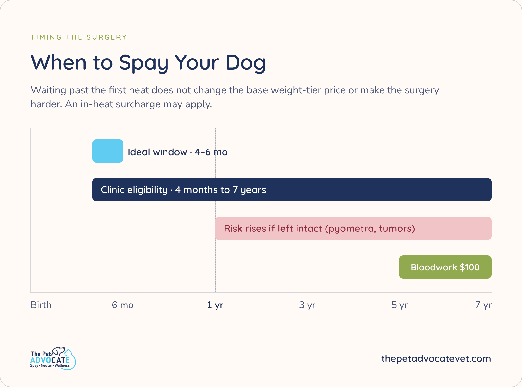 When to Spay Your Dog timeline: ideal window 4–6 months; clinic eligibility 4 months to 7 years; risk rises if left intact after 1 year; bloodwork $100 required at 5 years and older. Base weight-tier price does not change past first heat.