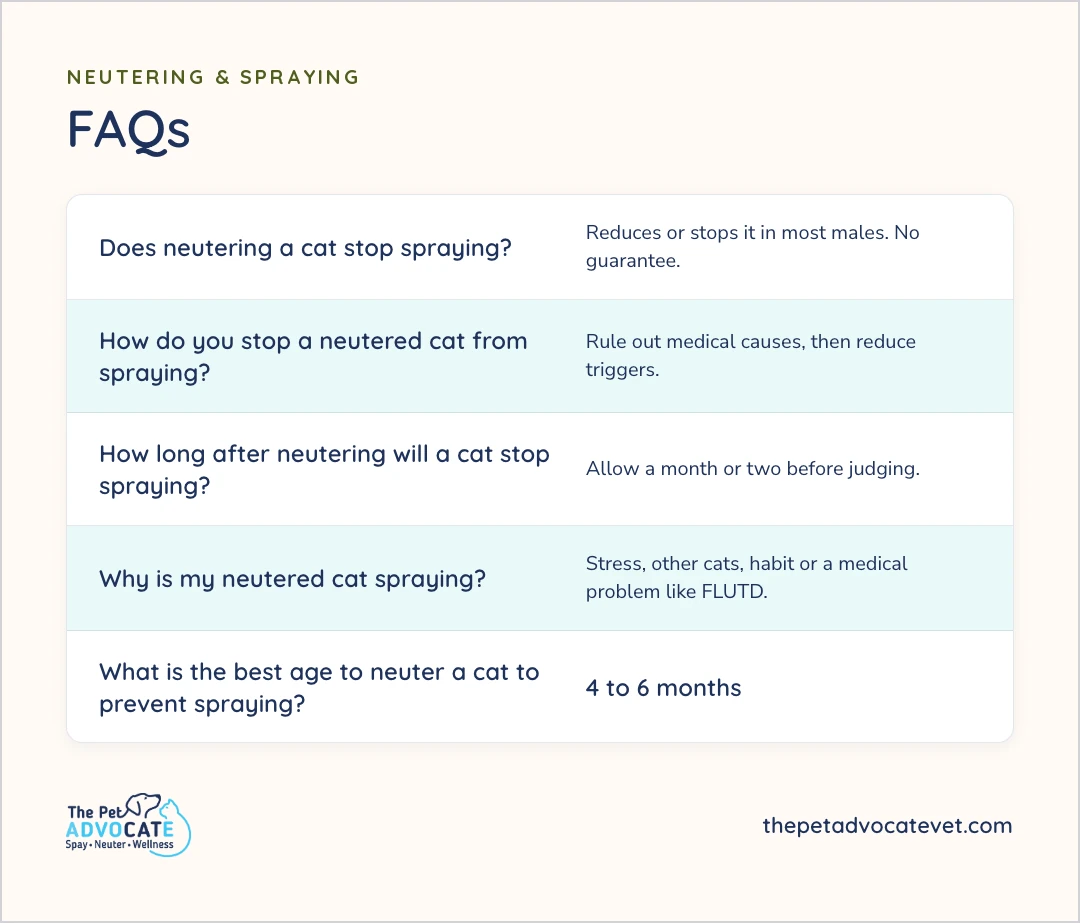 Quick answers to five questions about neutering and spraying: it reduces or stops spraying in most males with no guarantee; rule out medical causes, then reduce triggers; allow a month or two before judging; neutered cats spray from stress, other cats, habit or a problem like FLUTD; the best age to neuter is 4 to 6 months.