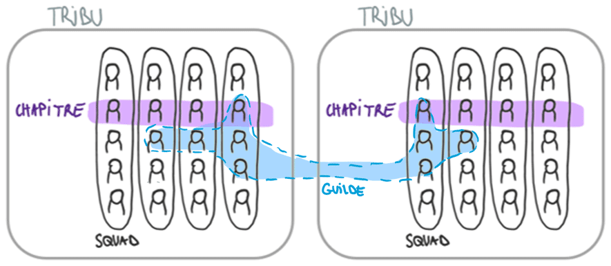 Illustration qui montre le fonctionnement du modèle Spotify, notamment les tribus, chapitres, guildes et squads