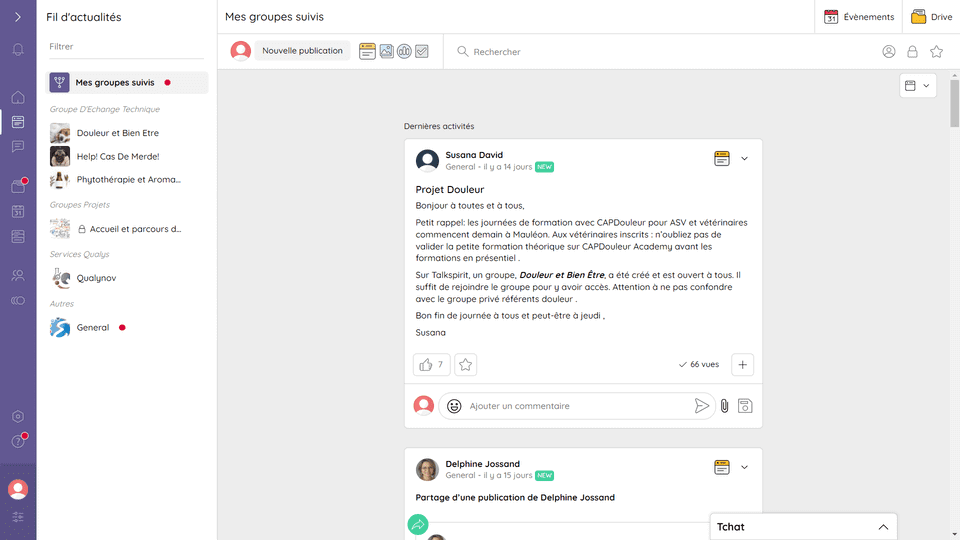 Excellvet post example 1