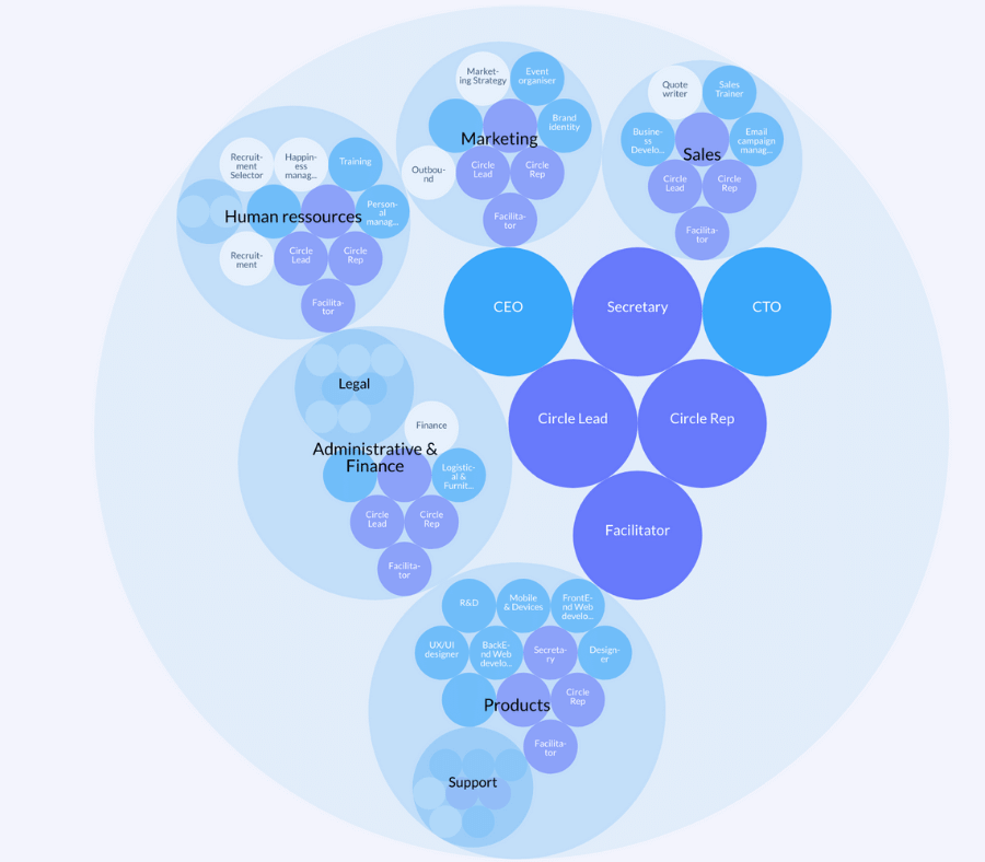 Exemple d'organigramme holacratique