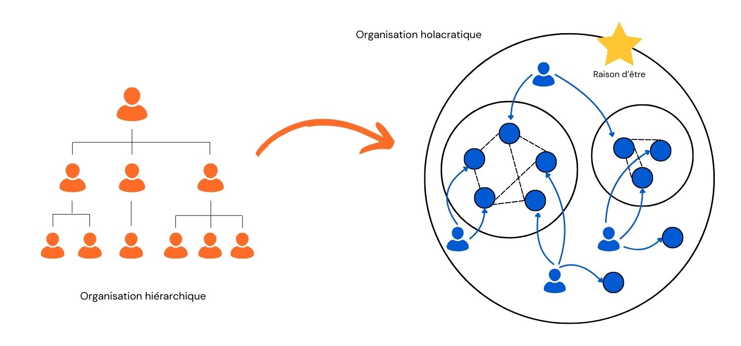 Schéma qui montre la différence entre une organisation hiérarchique et une organisation en Holacratie