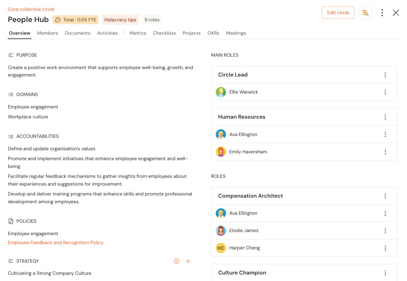 Documenting a circle's purpose, domains, accountabilities, policies and strategies on Talkspirit helps team member deliver
