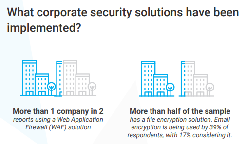 Corporate cybersecurity solutions implemented by companies
