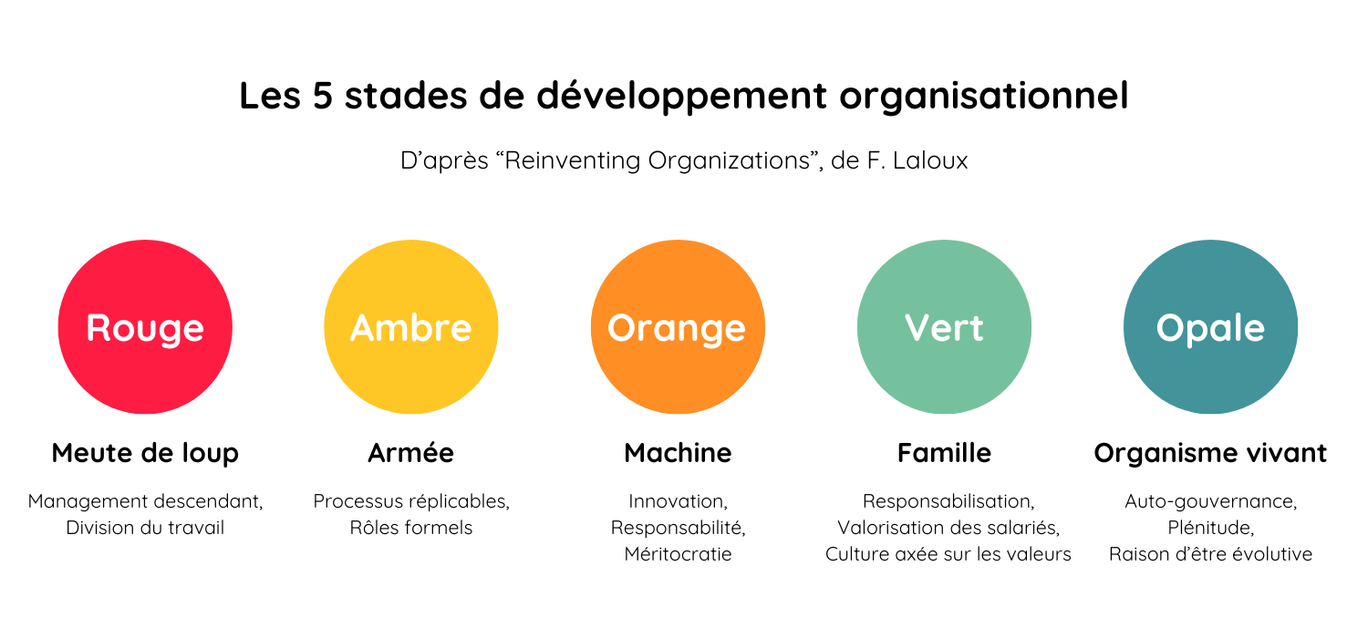 Les 5 stades de développement organisationnels défini par Frédéric Laloux dans Reinventing Organizations, ouvrage qui parle pour la première fois de l'organisation Opale