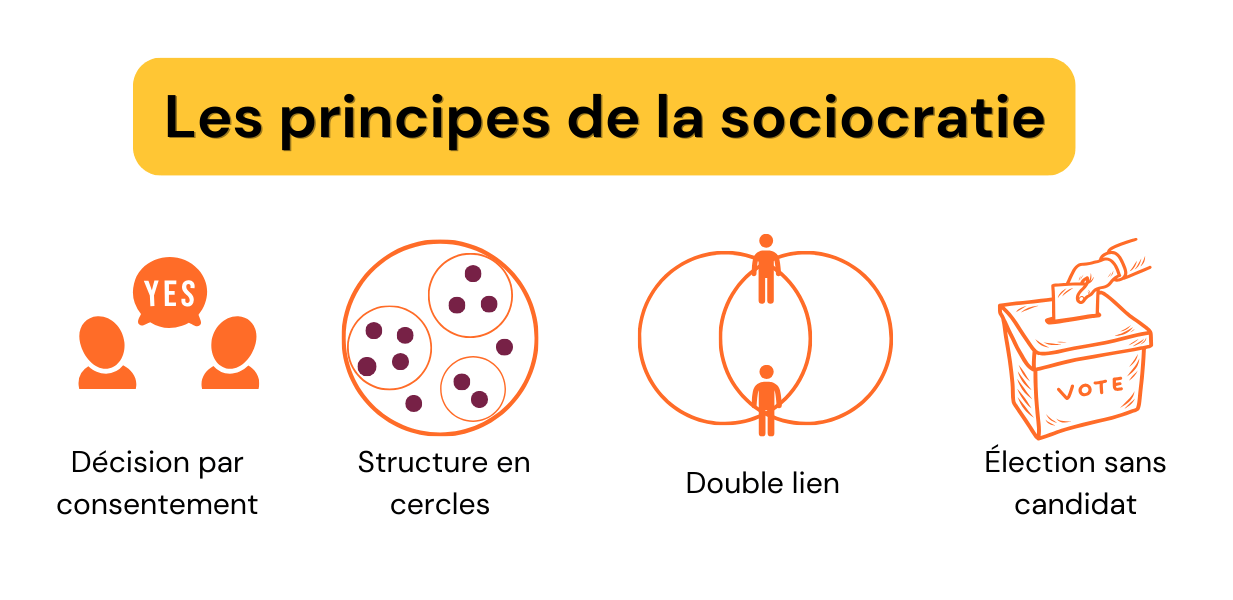 Les 4 principes clés de la sociocratie