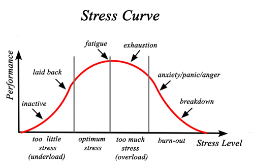 Stress Curve