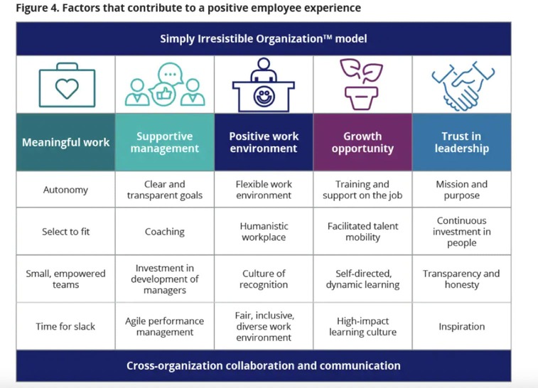 Factors that contribute to a positive employee experience