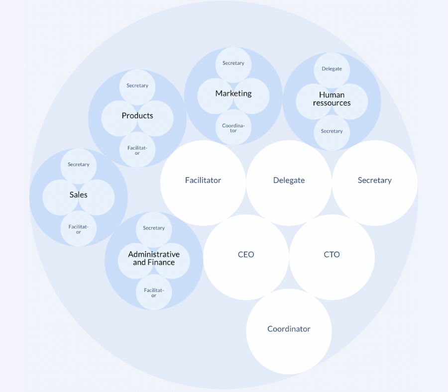 Exemple d'organigramme sociocratique