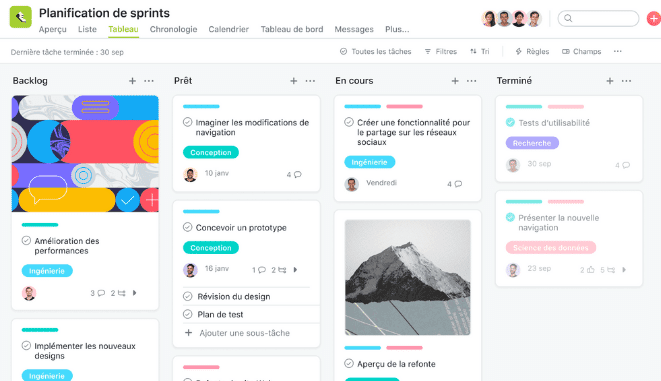 Asana project management