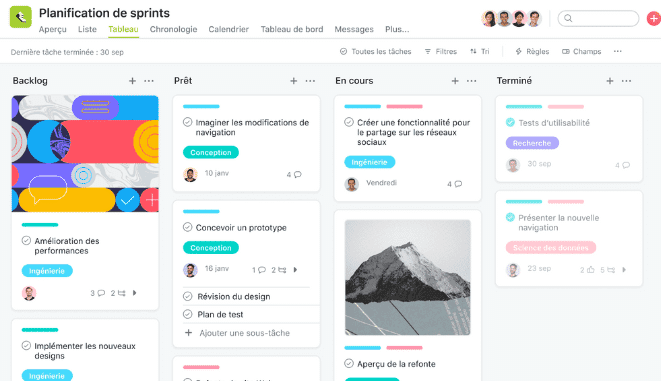 Asana project management