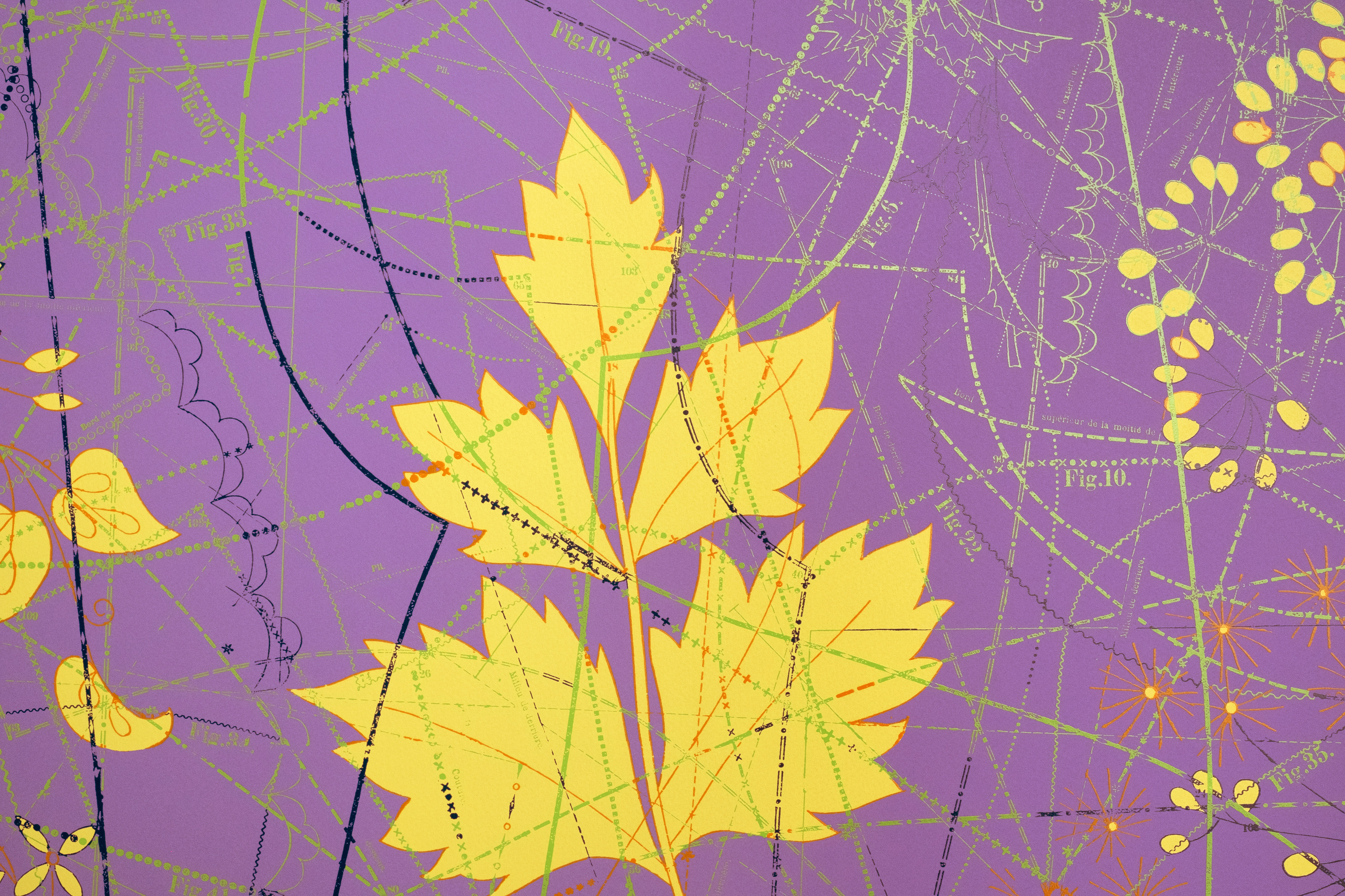 Hormazd Narielwalla, Between the Garden Lines (Purple) — yellow maple-like leaves outlined in orange on a lilac ground