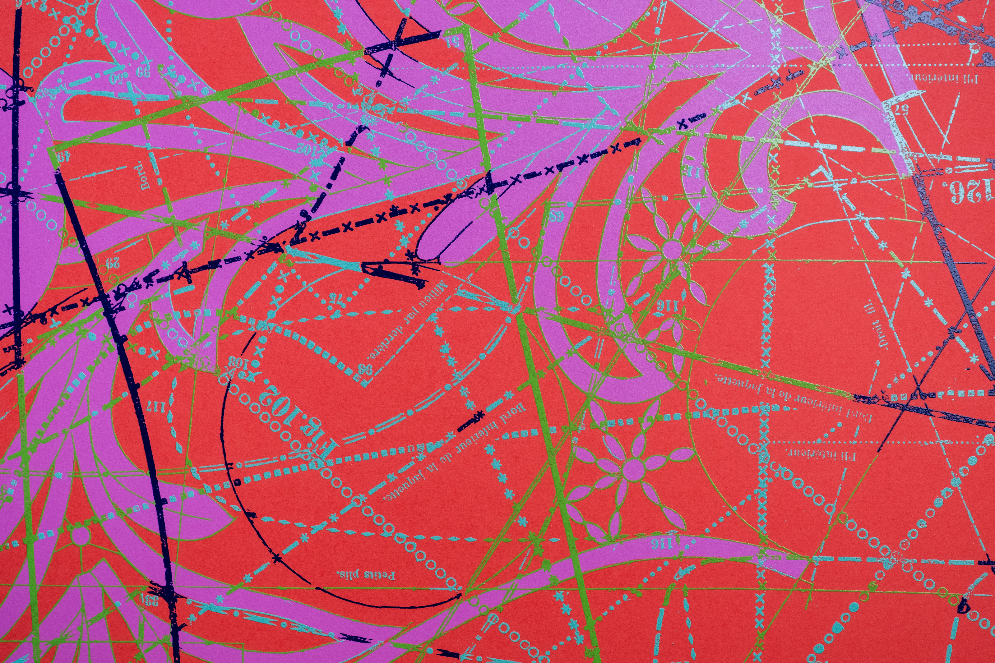 Hormazd Narielwalla, Between the Garden Lines (Red) — detail of overlapping magenta curves and green lines across the printed sheet