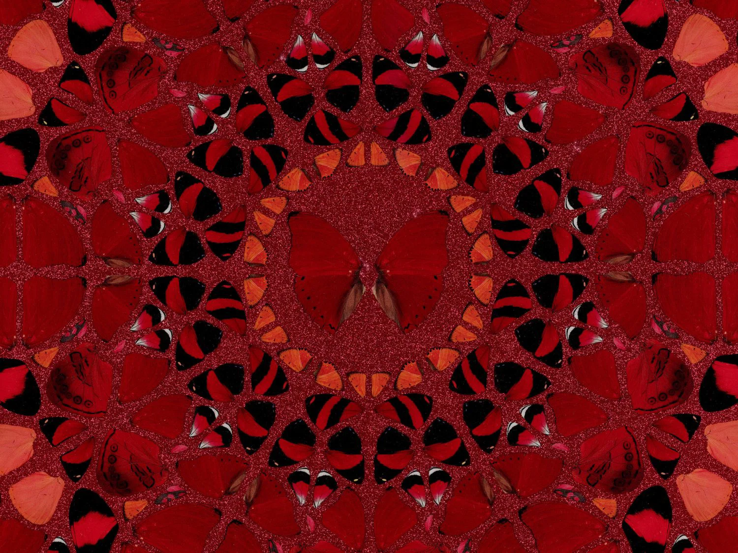 Close-up of Damien Hirst's Wu Zetian: red butterfly wings arranged symmetrically around a central butterfly, over red glitter.