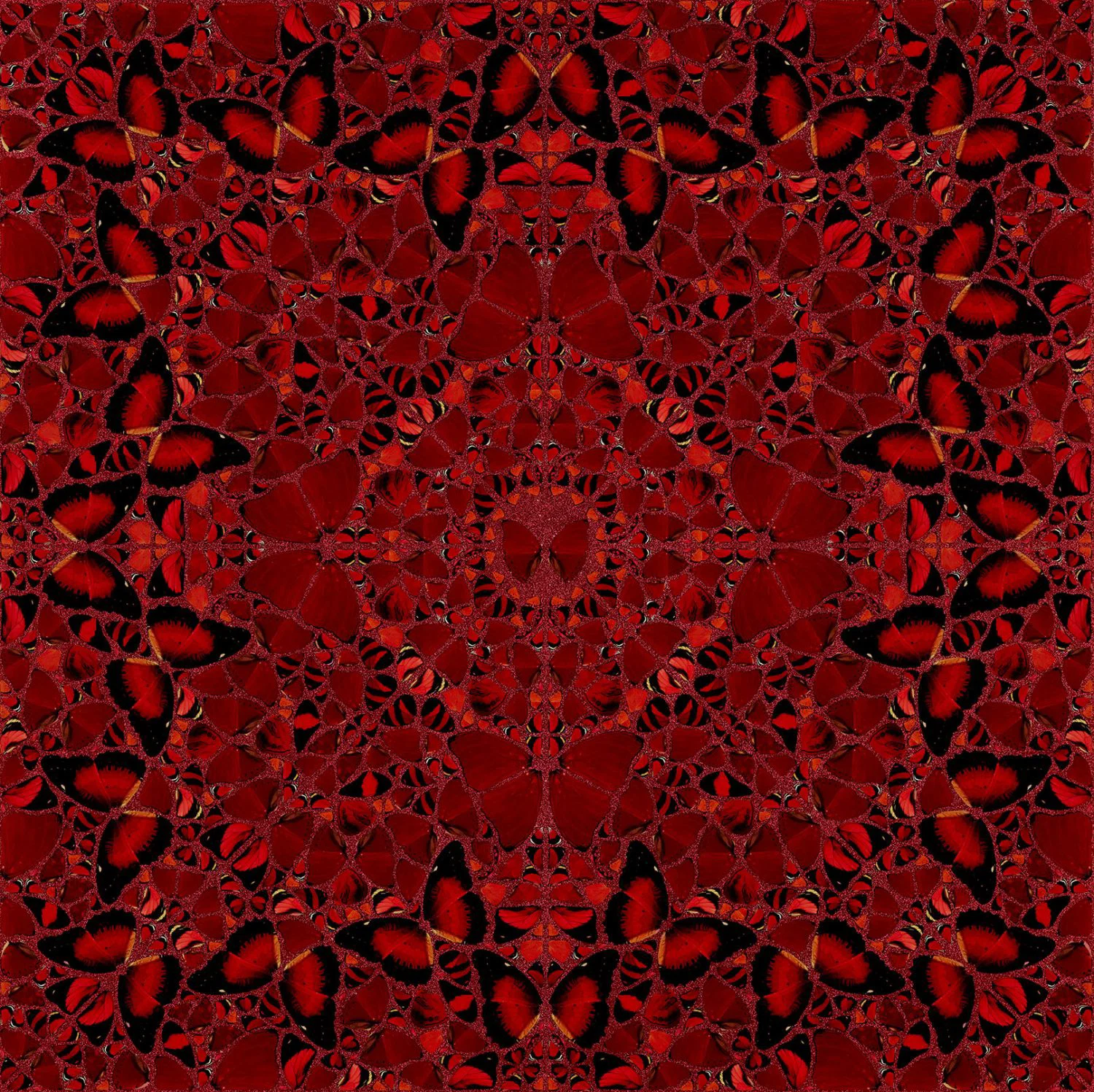 Damien Hirst's Nūr Jahān: red and black butterfly wings arranged into a symmetrical star-and-flower kaleidoscope over red glitter.