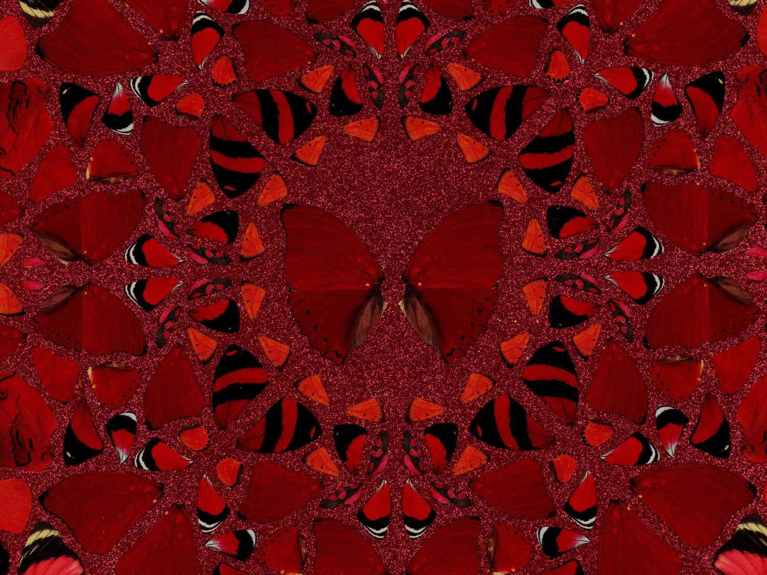 Close-up of Damien Hirst's Nūr Jahān: red butterfly wings arranged symmetrically around a central butterfly, over red glitter.