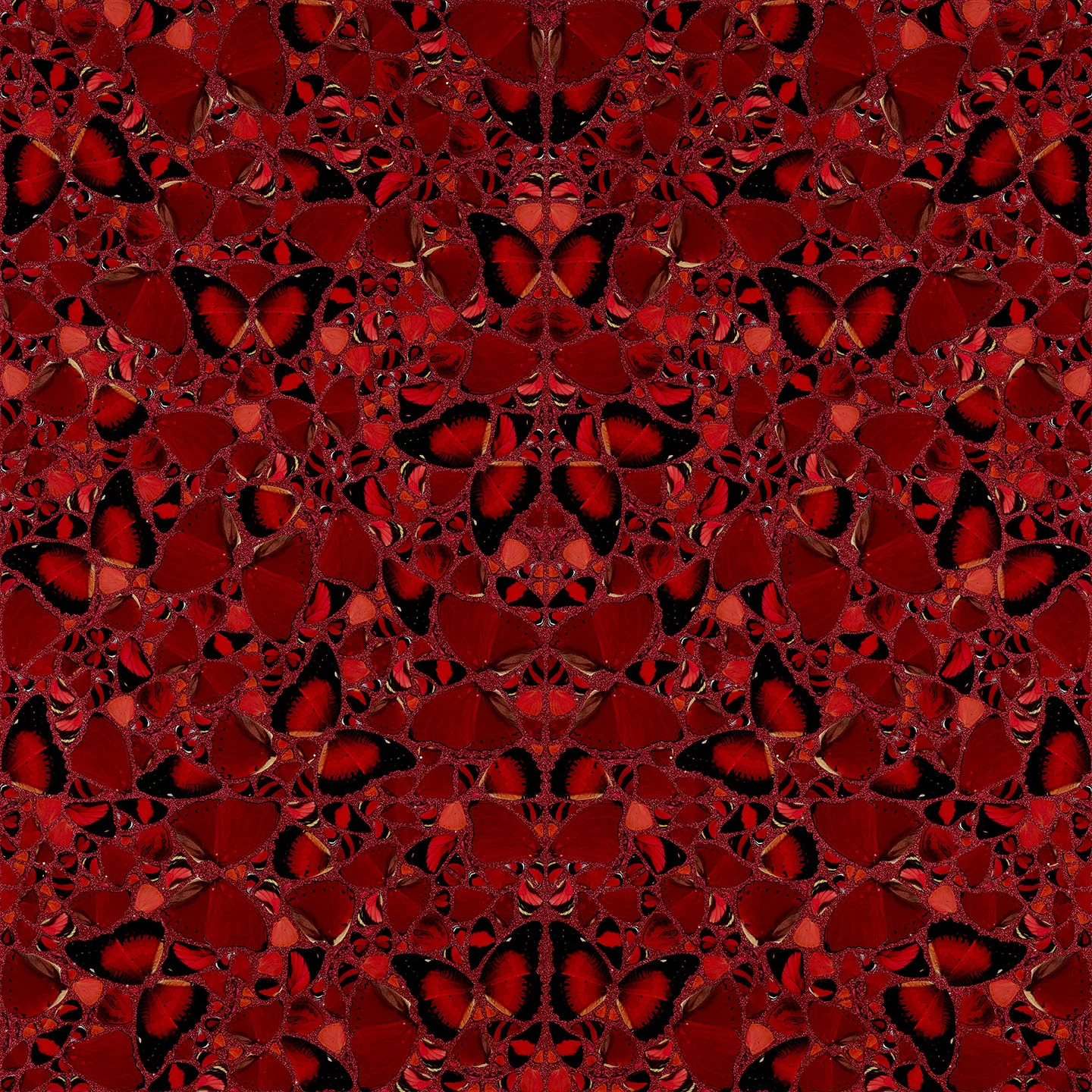 Damien Hirst's Theodora: red and black butterfly wings arranged into a symmetrical star-and-flower kaleidoscope over red glitter.