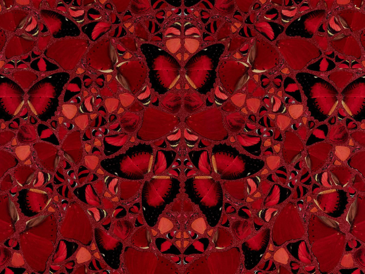 Close-up of Damien Hirst's Theodora: red butterfly wings arranged symmetrically around a central butterfly, over red glitter.