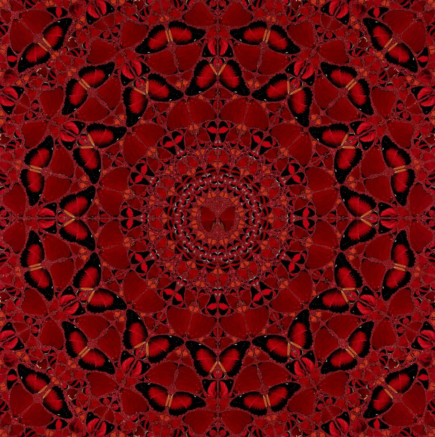 Damien Hirst's Suiko: red and black butterfly wings arranged into a symmetrical star-and-flower kaleidoscope over red glitter.