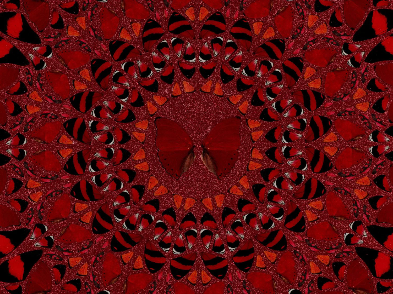 Close-up of Damien Hirst's Suiko: red butterfly wings arranged symmetrically around a central butterfly, over red glitter.