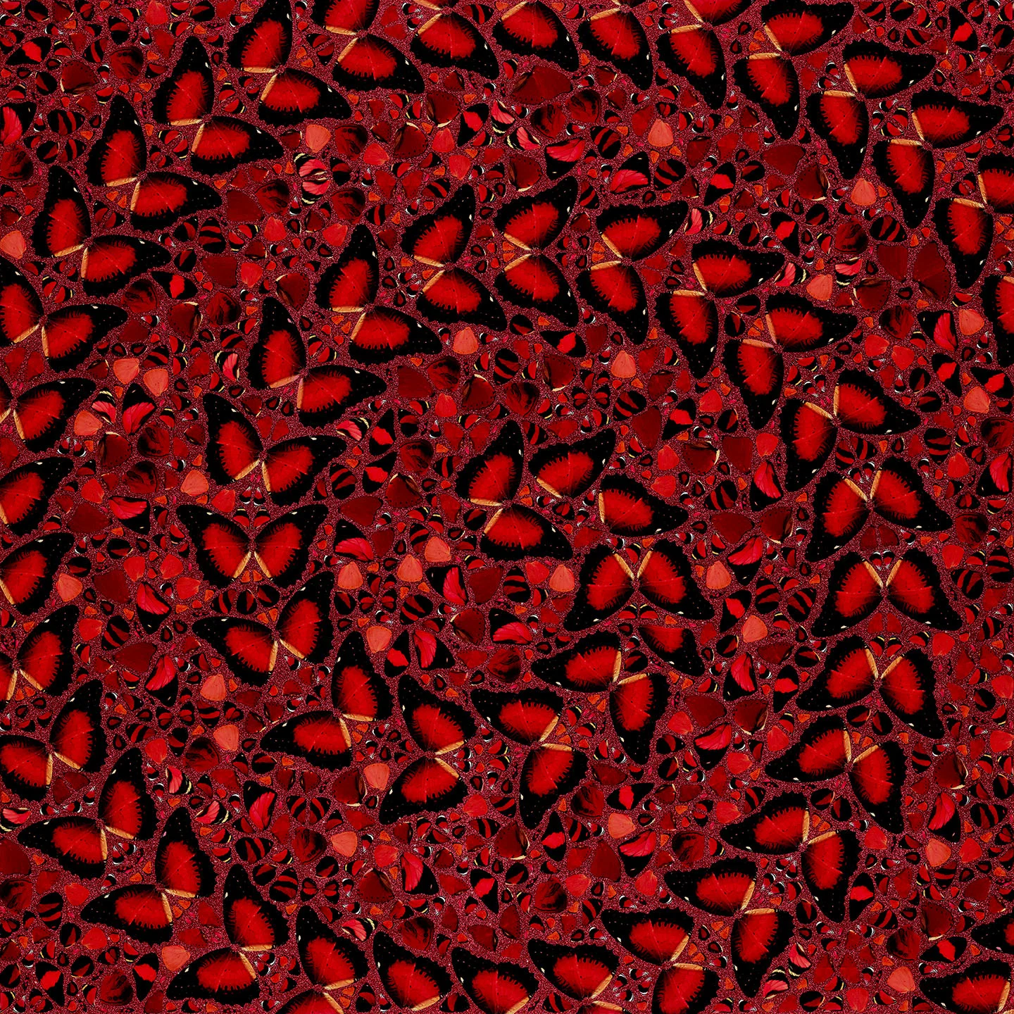 Damien Hirst's Taytu Betul: red and black butterfly wings arranged into a dense, symmetrical kaleidoscope over red glitter.