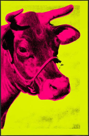 Paul Stephenson's 'Cow IV': a haltered cow's head with horns, printed in fluorescent pink on a fluorescent yellow ground.