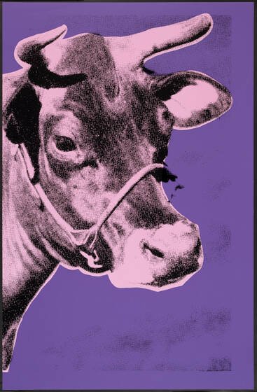 Paul Stephenson's 'Cow II': a haltered cow's head with horns, printed in pink on a purple ground.