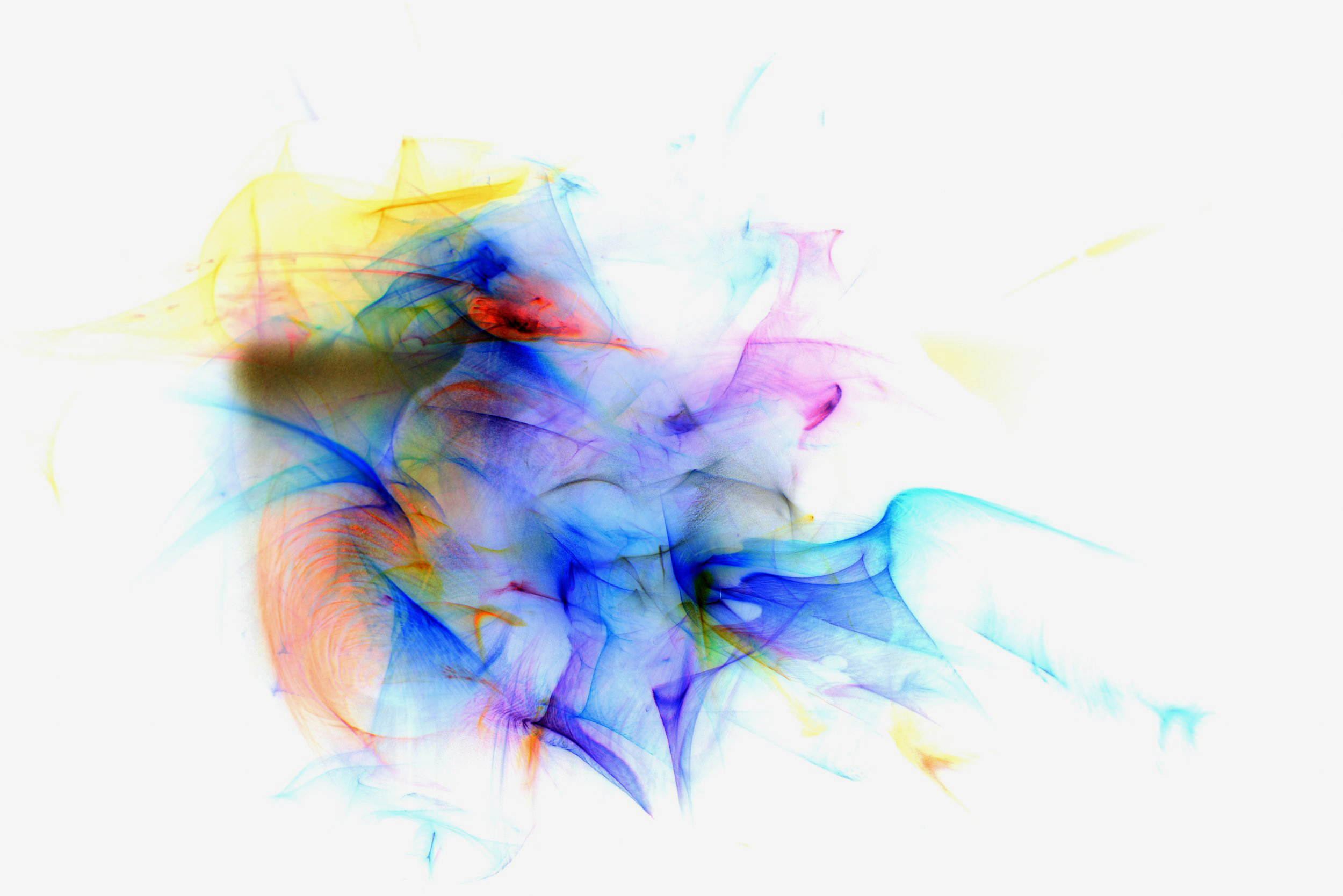 Flavie Audi's 'Fluid Light 4': dense veils of blue, purple, orange and yellow tangling at the centre, on white.