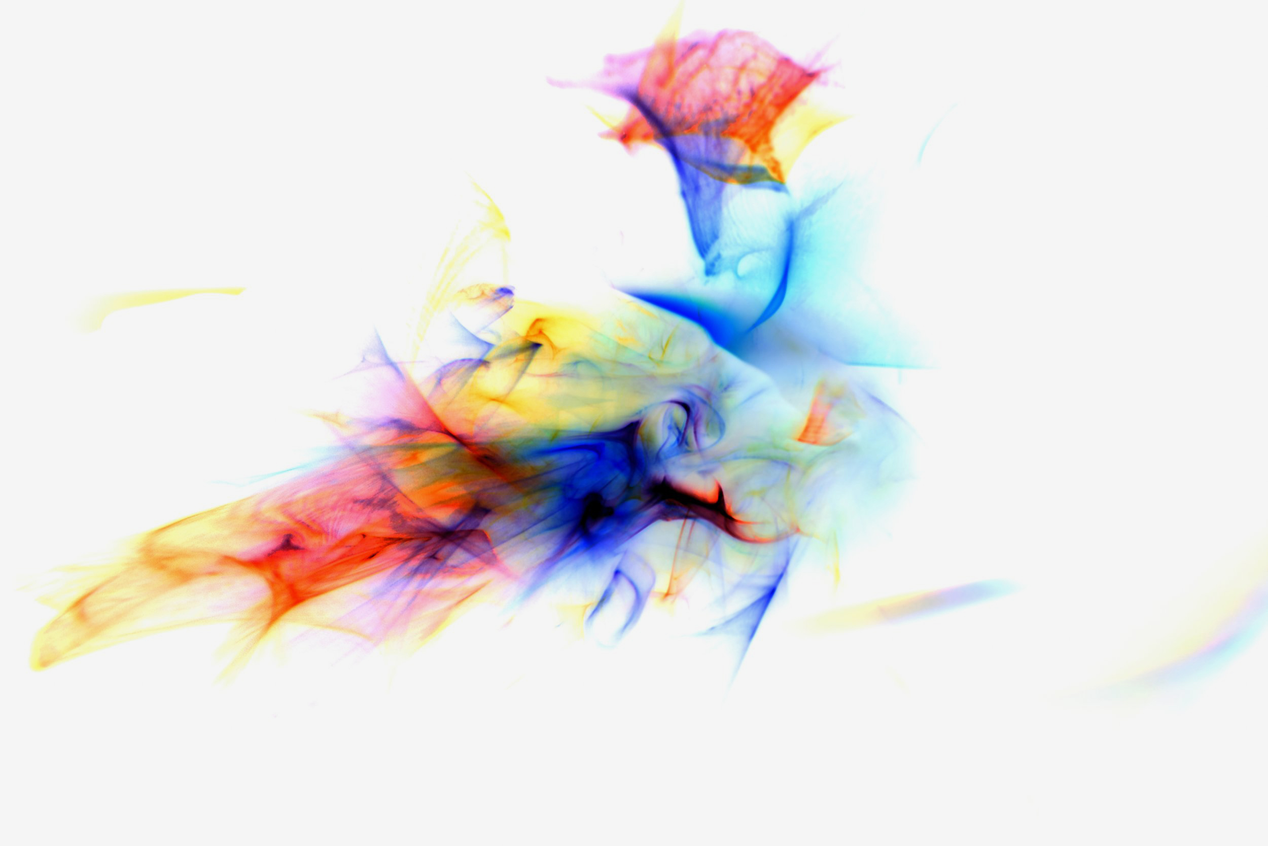 Flavie Audi's 'Fluid Light 6': a soaring plume of yellow, red and blue light-forms rising like a bird on white.