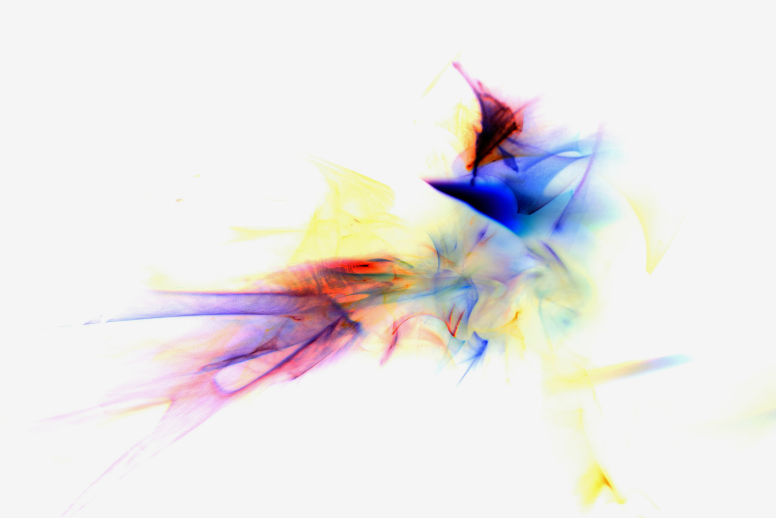 Flavie Audi's 'Fluid Light 7': feathered spikes of blue, purple and yellow radiating from a bright core, on white.